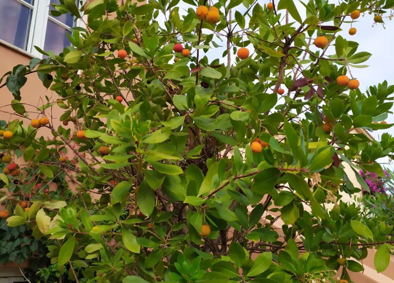 איזולה רוסה Residence Cala Rossa 0*, איזולה רוסה איטליה