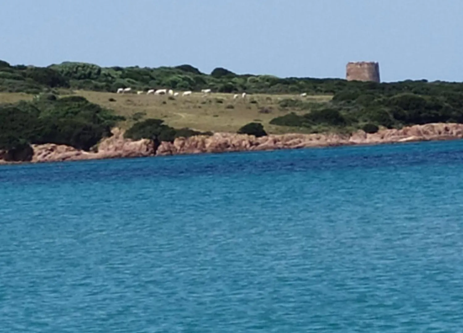 דירה איזולה רוסה Residence Cala Rossa איטליה