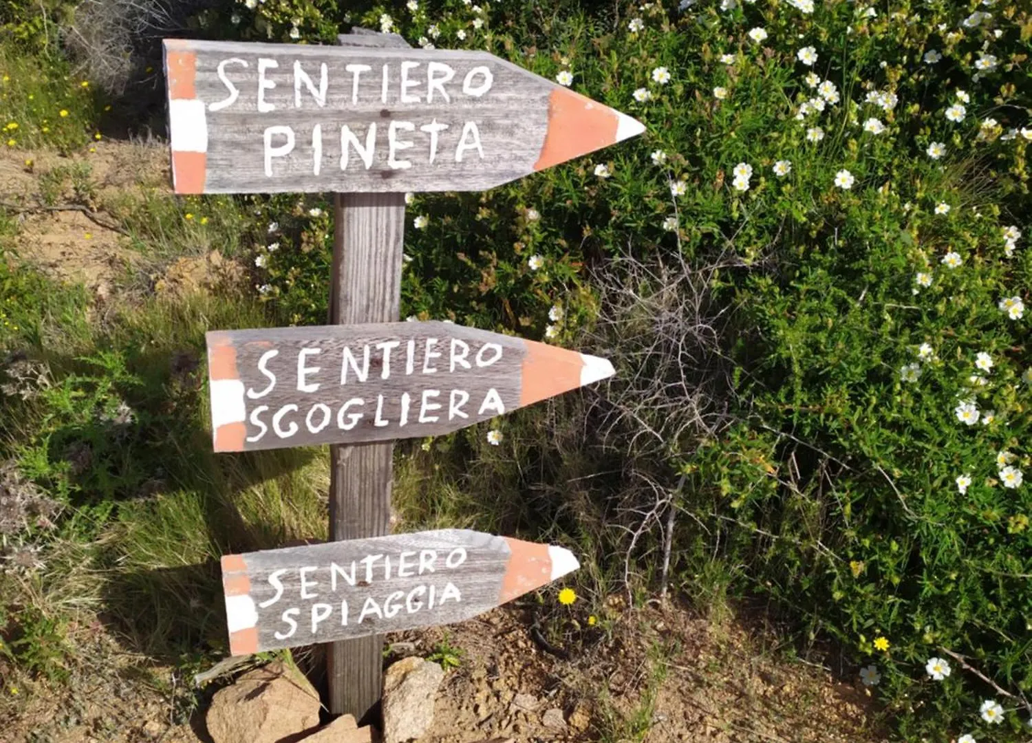 דירה איזולה רוסה Residence Cala Rossa